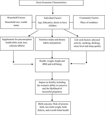 Nutrition status of nulliparous married women (15–24 years) in South Asia: trends, predictors, and program implications